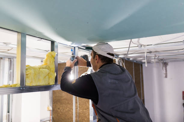 Best Residential Insulation in Comstock Northwest, MI