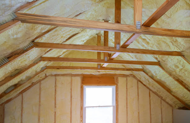 Best Cellulose Insulation in Comstock Northwest, MI